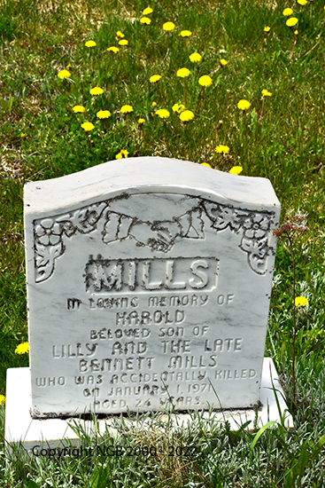 Harold Mills