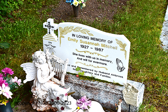 Emily Susannah Mitchell