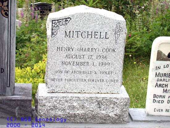 Henry Mitchell