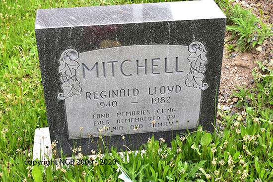 Reginald Lloyd Mitchell