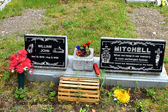 William John Mitchell