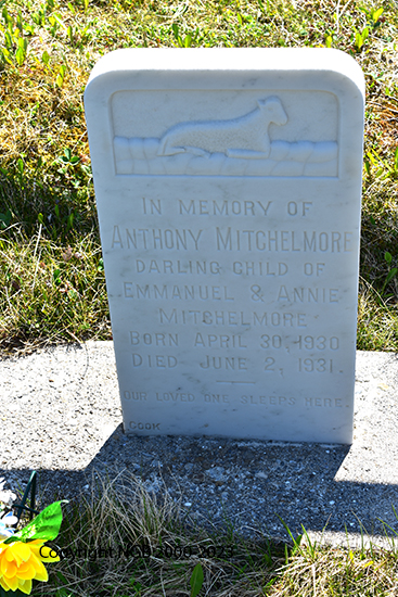 Anthony Mitchelmore