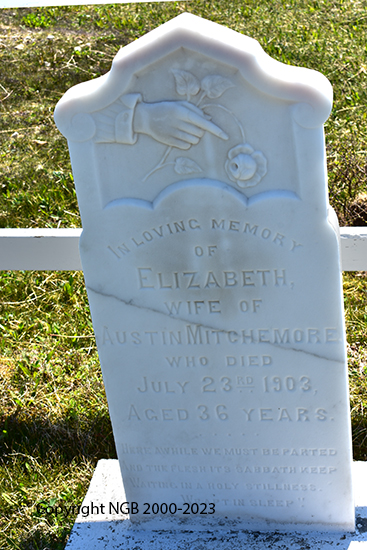 Austin & Elizabeth Mitchelmore