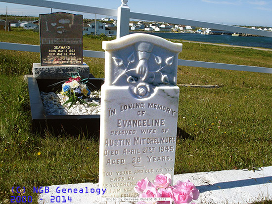 Evangeline Mitchelmore