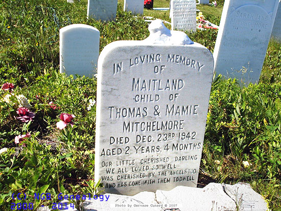 Maitland Mitchelmore