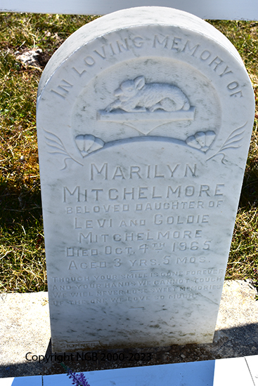 Marilyn Mitchelmore