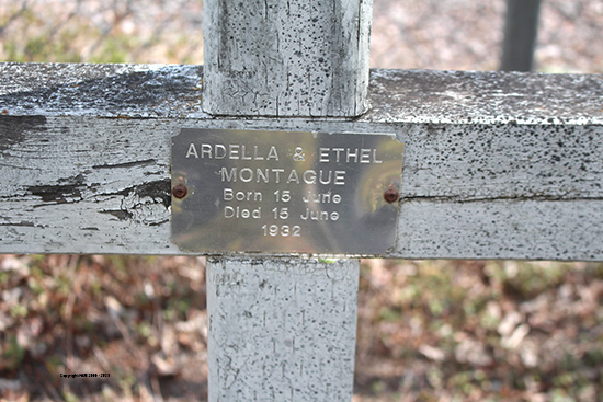 Ardella & Ethel Montague 