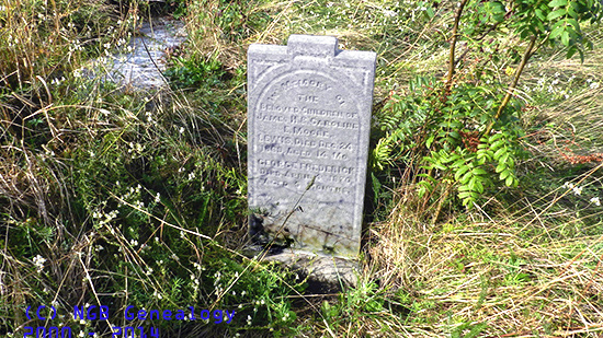 Lewis & George Moore