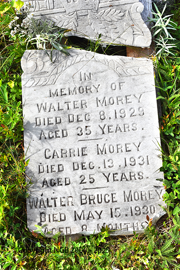 Walter & Carrie Morey