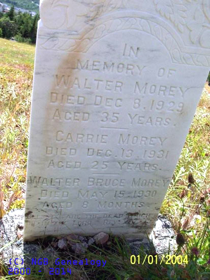 WALTER, CARRIE AND WALTER BRUCE MOREY