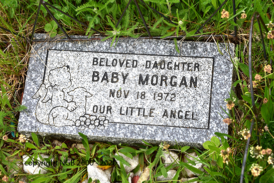 Baby Morgan