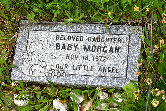 Baby Morgan