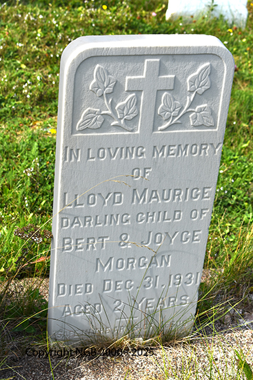 Lloyd Maurice Morgan