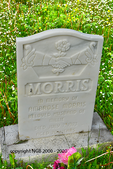Ambrose Morris