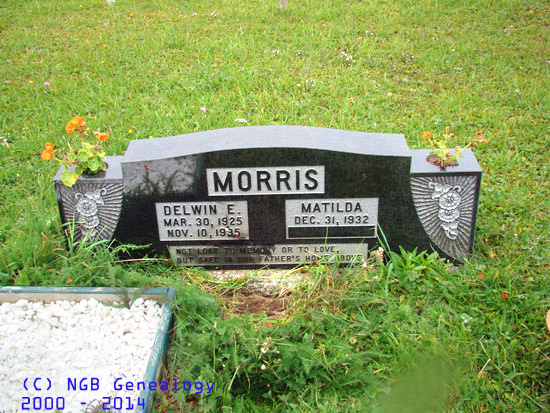 Delwin E. Morris