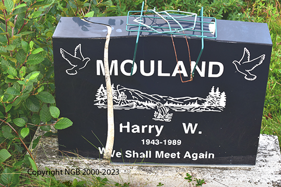 Harry W. Mouland