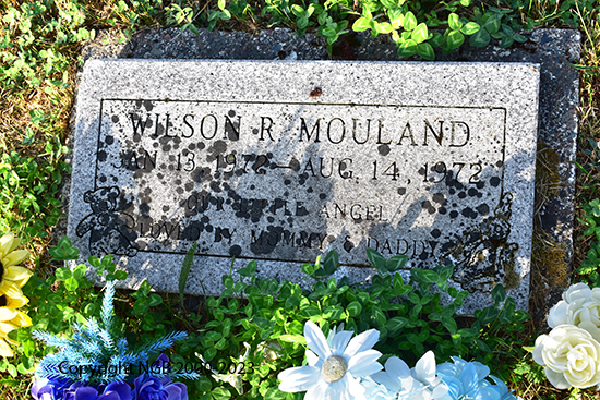 Wilson R. Mouland