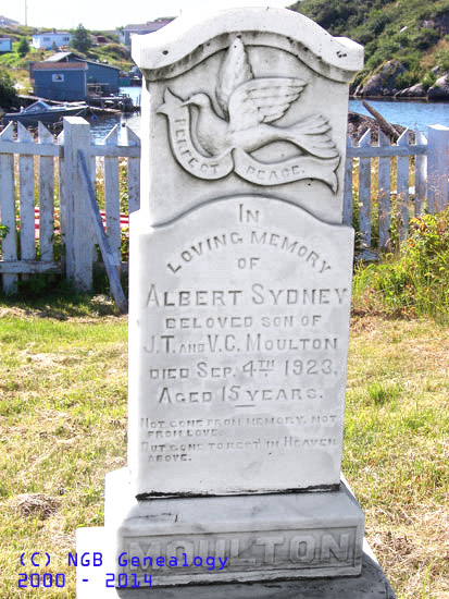 Albert Sydney Moulton
