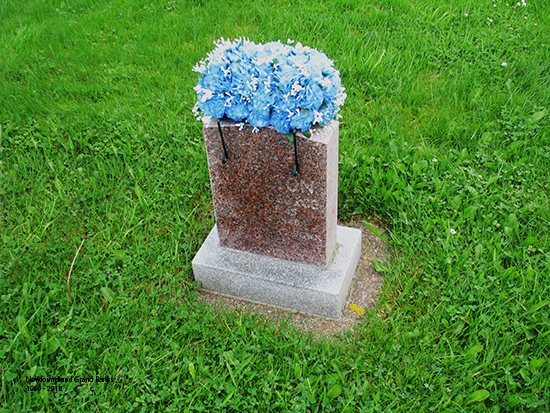 Lloyd George Moulton