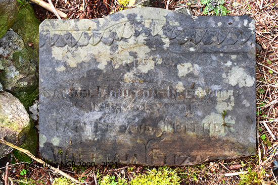 William, Elizabeth & Lillian Moulton