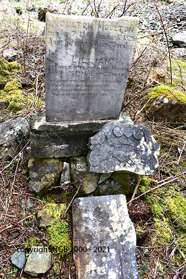 William, Elizabeth & Lillian Moulton