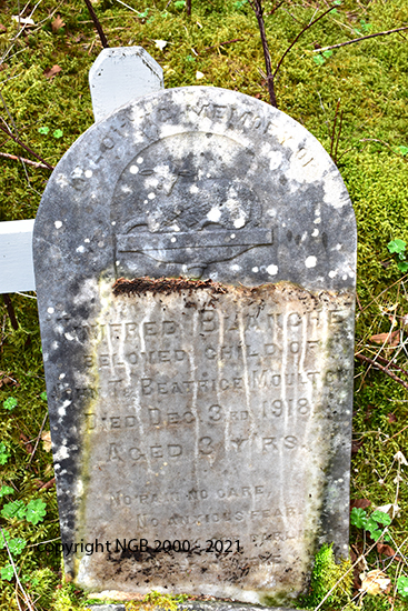 Winnifred Blanche Moulton