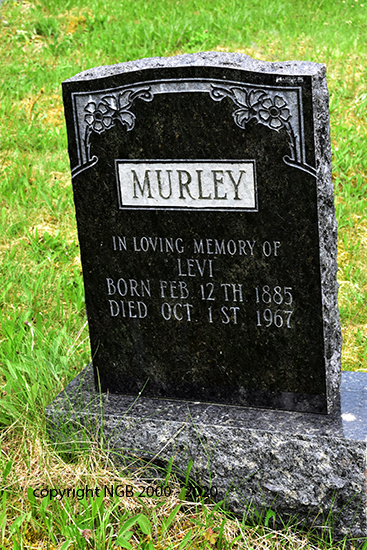 Levi Murley