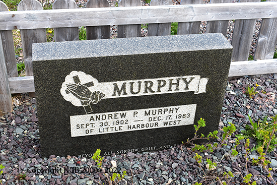 Andrew P. Murphy