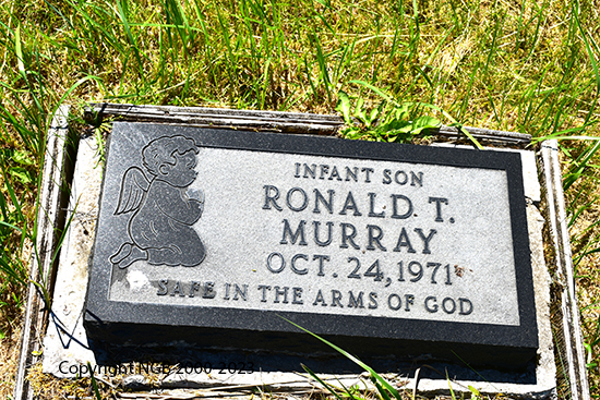 Ronald T. Murray