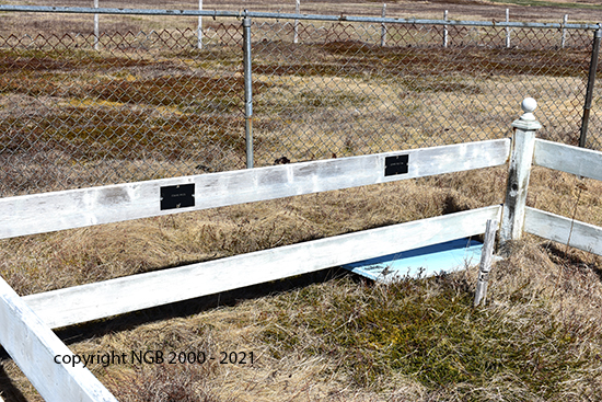 Edward and Edward Jr, Myles