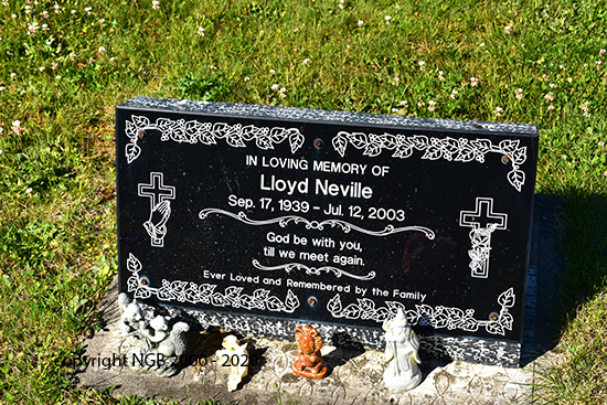 Lloyd Neville