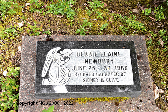 Debbie Elaine Newbury