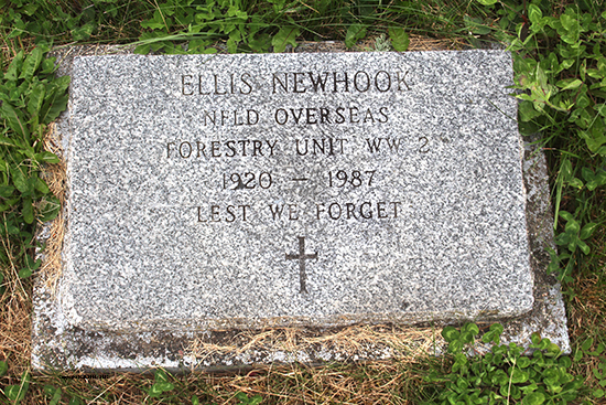 Ellis Newhook