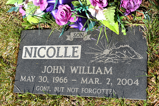 John William Nicolle