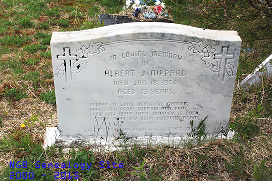 Albert J. Nippard