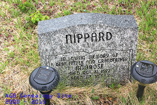 Ambrose Nippard