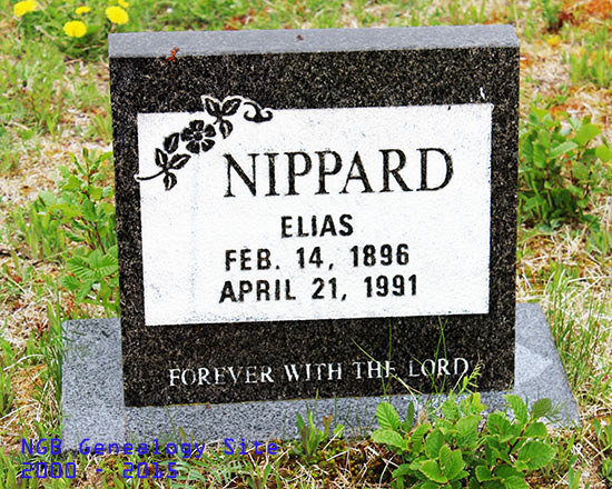 Elias Nippard