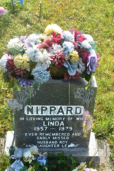 Linda Nippard