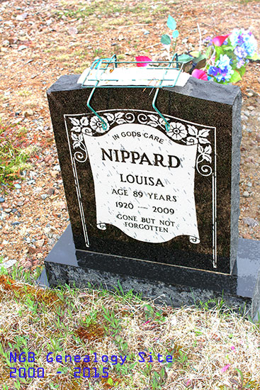 Louisa Nippard