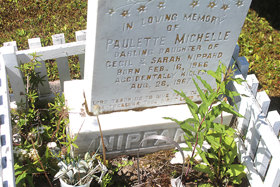 Paulette Michelle Nippard