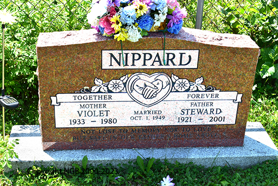 Steward-violet-clara-nippard