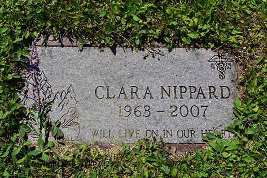 Steward-violet-clara-nippard