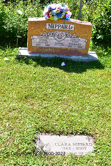 Steward-violet-clara-nippard