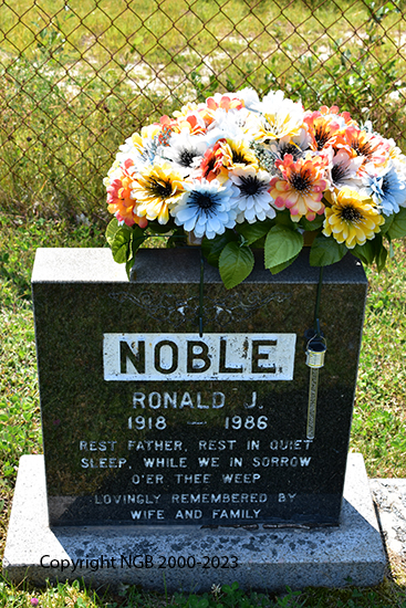 Ronald J. Noble