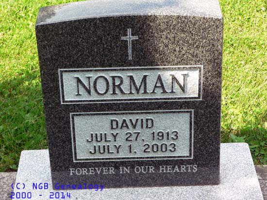David Norman