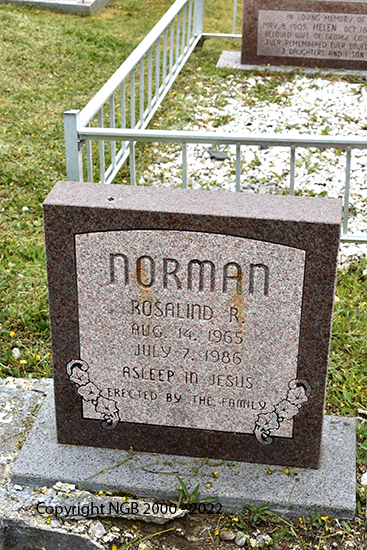 Rosalind R. Norman