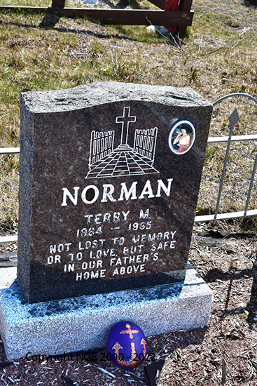 Terry M. Norman