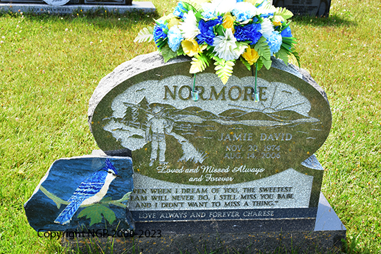 Jamie David Normaore