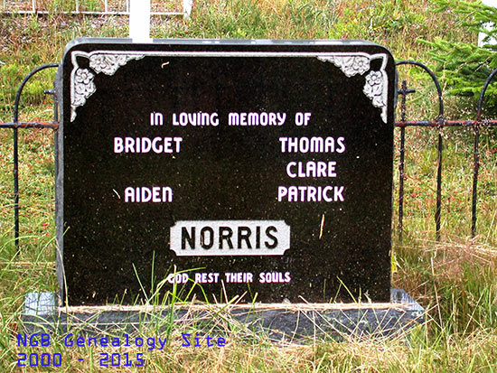 Bridget, Aiden, Thomas, Clare & Patrick Norris