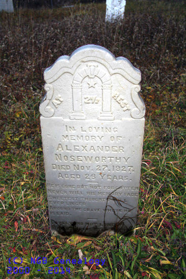 Alexander Noseworthy